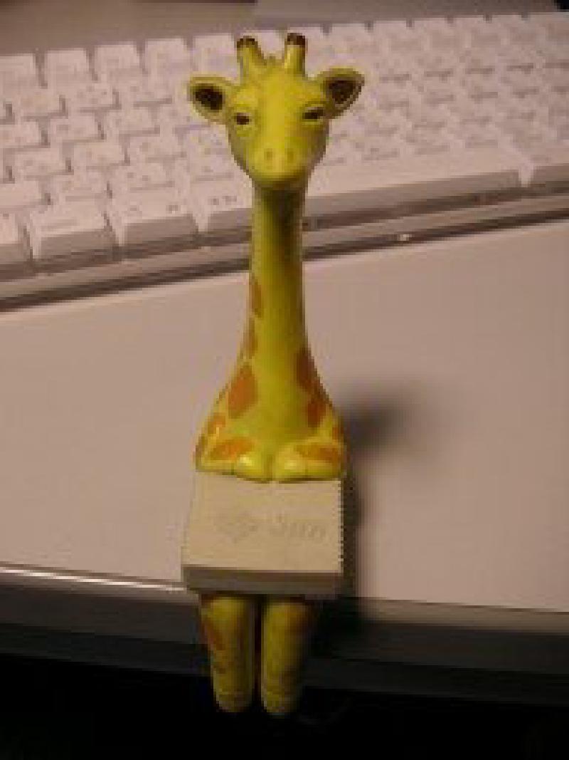 Featured image of post Sunのキリン