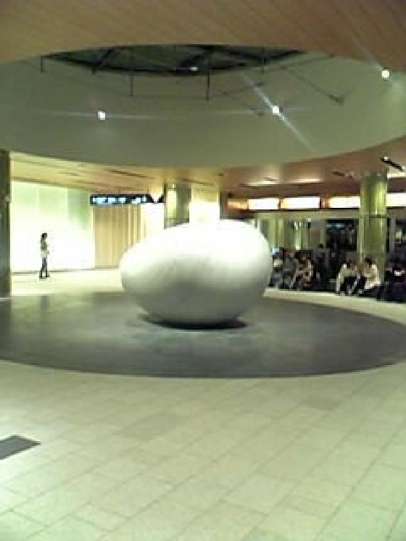 Featured image of post 卵？