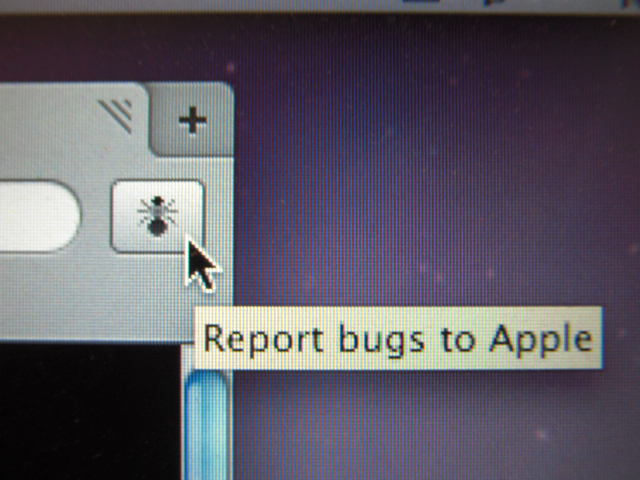 safari4_bug.jpg