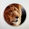 Mac OS X Lionにアップデートしました