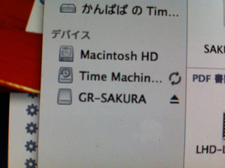 GR-SAKURA11.jpg